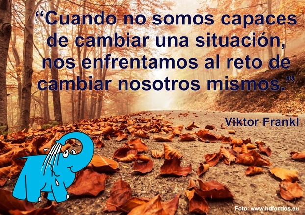 Una Enseñanza de Viktor Frankl sobre El Cambio Personal, en La Frase del Día del Elefante Azul de Avilés